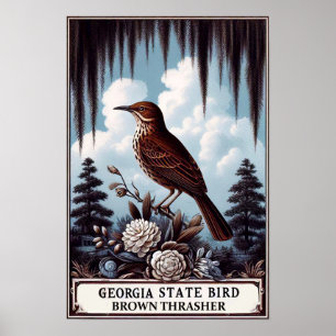 Georgia Staat Bird - Brown Thrasher Vintag Poster