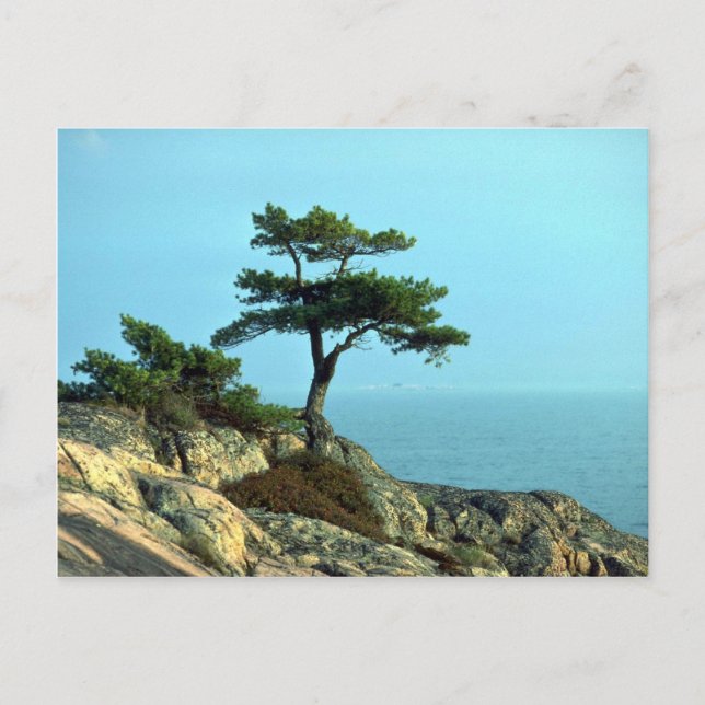 Georgian Bay Shoreline, Lake Huron, Ontario, Kanad Postkarte (Vorderseite)