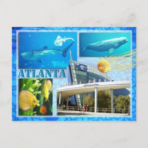 GEORGIEN AQUARIUM, ATLANTA, GEORGIEN POSTKARTE