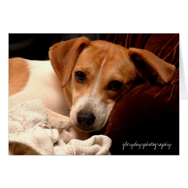 Georgien, Glorydaysphotographie (Vorderseite (Horizontal))