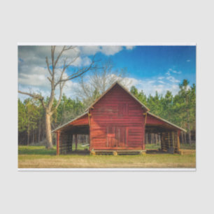 Georgien ist stolz Stehend vor dem Wald Seidenpapier