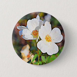 Georgien-Tscherokee-Rose Button