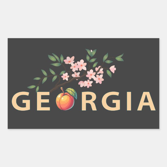 Georgien USA Rechteckiger Aufkleber (Vorderseite)