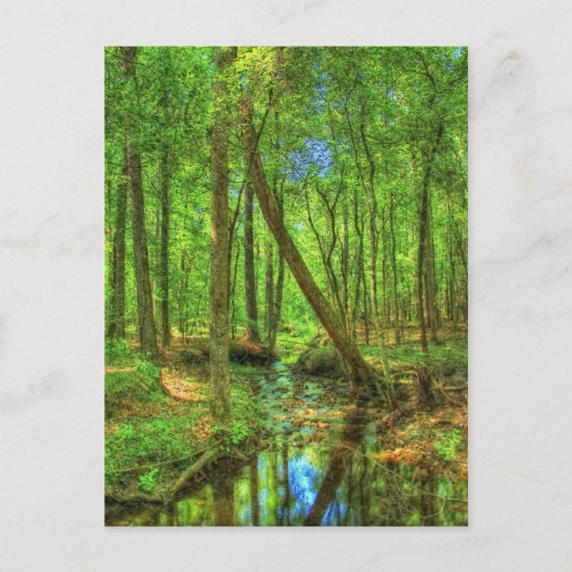 Georgienlandschaft Postkarte (Vorderseite)