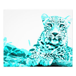 Georgous Leopard in Türkis Fotodruck