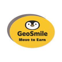 GeoSmile Auto-Magnete