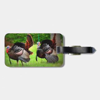 Gepäckanhänger mit Strutting Tom