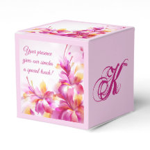 Gepäckbox für elegante Hostess