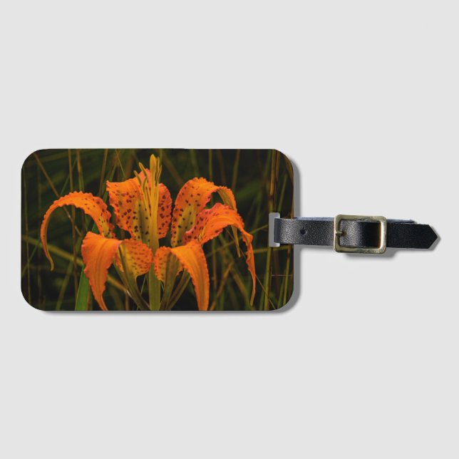 Gepäckmarke "Pine Lily" Gepäckanhänger (Vorderseite (Horizontal))