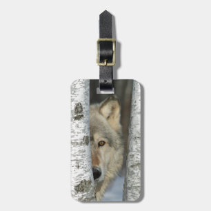 Gepäckumbau mit Foto des grauen Wolfs in den Gepäckanhänger