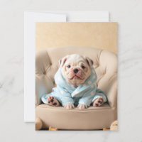 Gepamperter Hund im Bathrobe - Hund