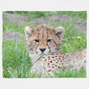Gepard20150904 Fleecedecke