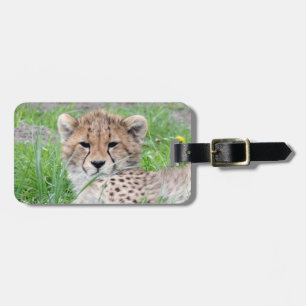 Gepard20150904 Gepäckanhänger