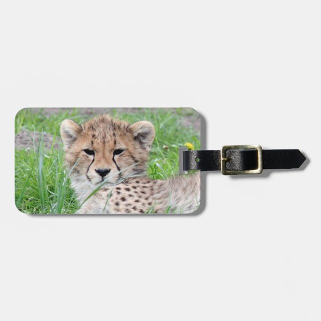 Gepard20150904 Gepäckanhänger (Vorderseite horizontal)