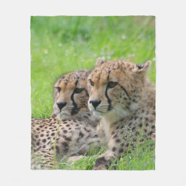 Gepard 001 fleecedecke (Vorderseite)