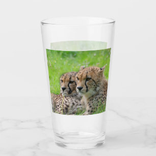 Gepard 001 glas