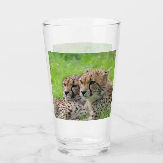 Gepard 001 glas (Vorderseite)