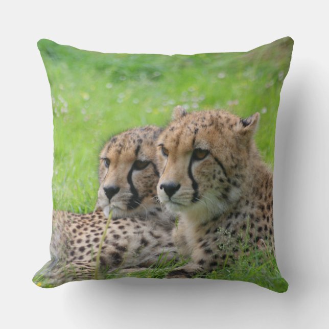 Gepard 001 kissen (Vorderseite)