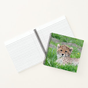 Gepard 002 notizbuch