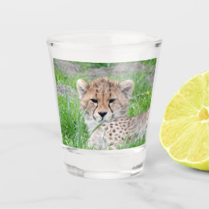 Gepard 002 schnapsglas