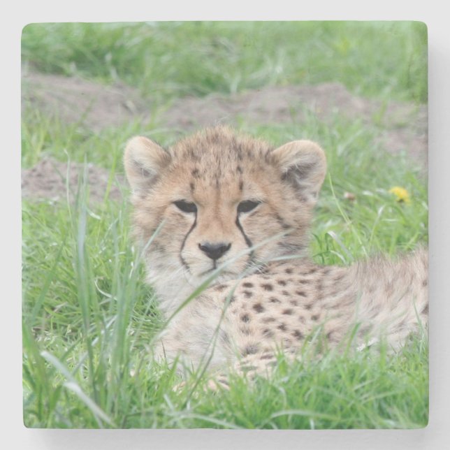Gepard 002 steinuntersetzer (Vorderseite)