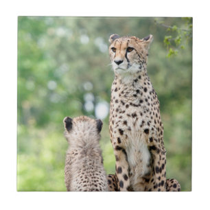 Gepard 004 fliese