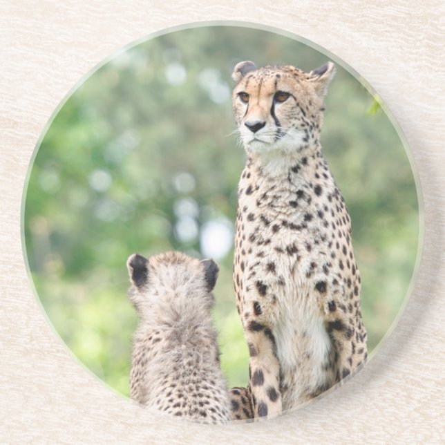 Gepard 004 sandstein untersetzer (Vorne)
