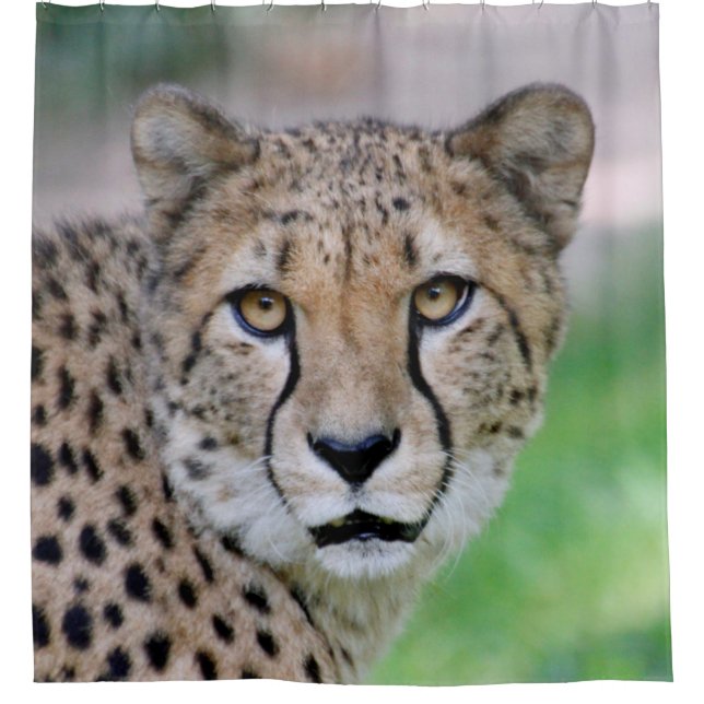 Gepard 009 duschvorhang (Vorderseite)
