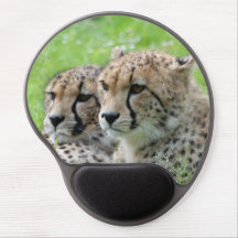 Gepard 009