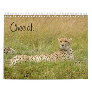 Gepard 2008 kalender