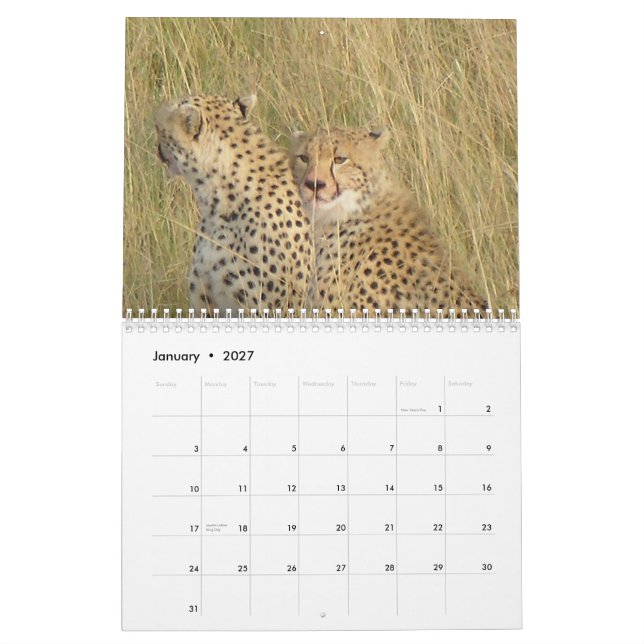 Gepard 2008 kalender (Jan 2027)
