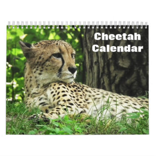 Gepard 2027 kalender