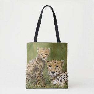 Gepard, Acinonyx jubatus, mit Jungtier