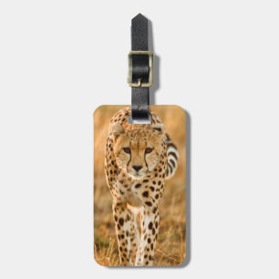 Gepard (Acinonyx Jubatus) Portrait, Maasai Gepäckanhänger