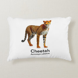 Gepard auf weißem Hintergrund Dekokissen