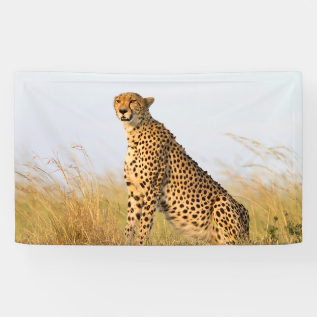 Gepard Banner (Horizontal)