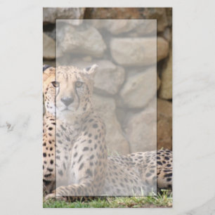 Gepard-Briefpapier Briefpapier