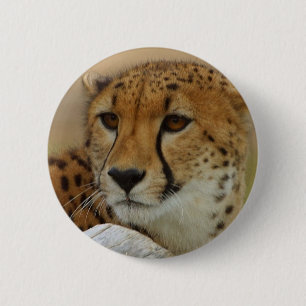 Gepard Button