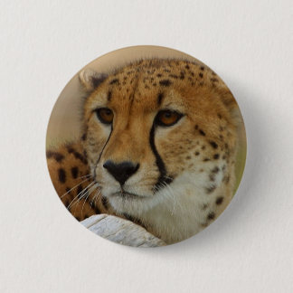 Gepard Button