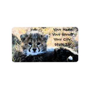Gepard-CUB-Adressen-Etikett Adressaufkleber