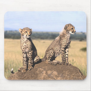 Gepard CUB Mousepad