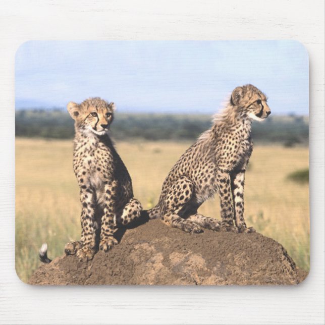 Gepard CUB Mousepad (Vorne)