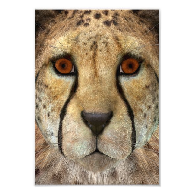 Gepard Fotodruck (Vorne)