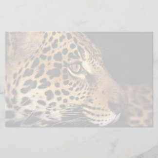 Gepard-Gesicht Briefpapier