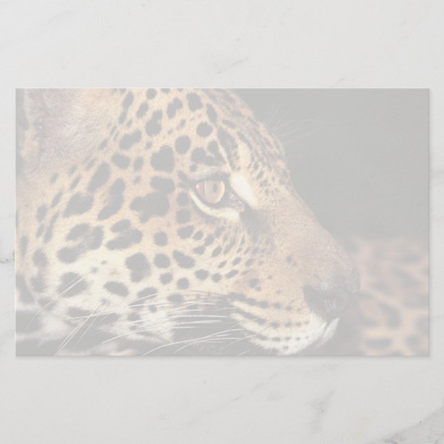 Gepard-Gesicht Briefpapier (Vorderseite)