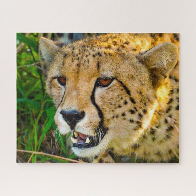 Gepard Großkatzen. Puzzle (Horizontal)