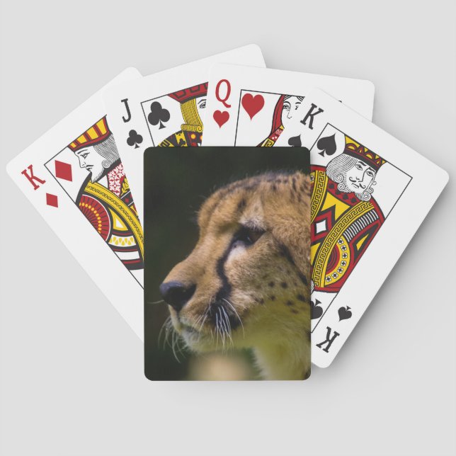 Gepard-Herz Sie! Spielkarten (Rückseite)