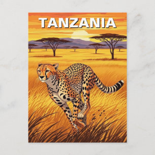 Gepard im Serengeti-Nationalpark Tansania Postkarte