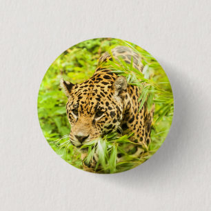 Gepard - Knopf Button