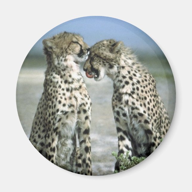 Gepard Magnet (Vorne)